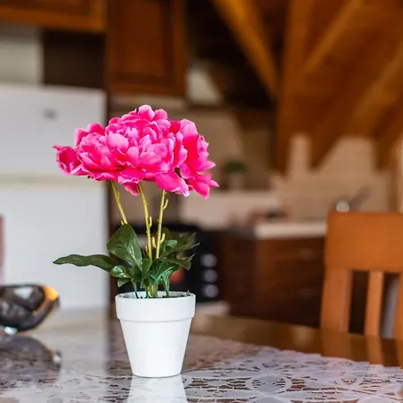 Bella Mansarda Apartment