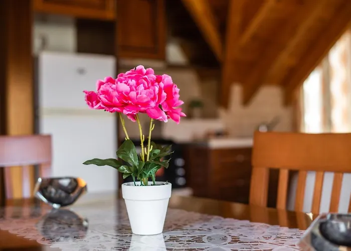 Chelmis Bella Mansarda 아파트